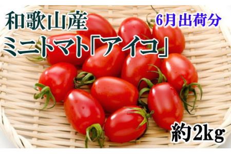 【2024年6月出荷分】和歌山産ミニトマト「アイコトマト」約2kg（S・Mサイズおまかせ）