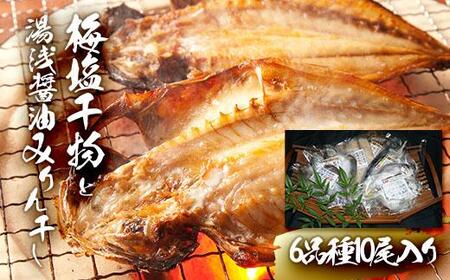 新鮮魚の梅塩干物と湯浅醤油みりん干し6品種10尾入りの詰め合わせ