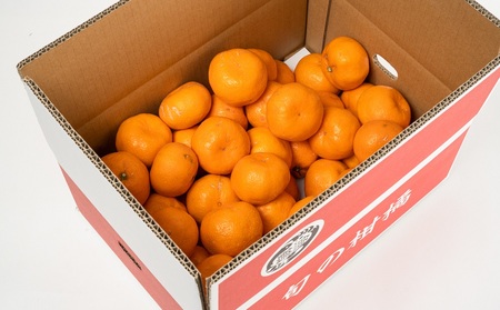 ［ご家庭用訳アリ］紀州有田産濃厚完熟温州みかん 約5kg ［2026年11月下旬以降発送 先行予約 ］［UT13］