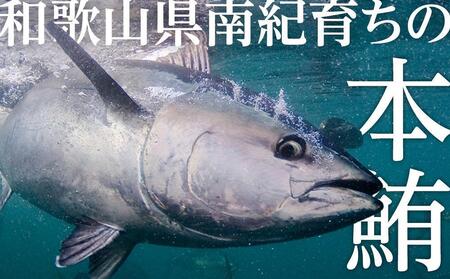 本マグロ（養殖）トロ＆赤身セット　1.35kg　［KS13］まぐろ