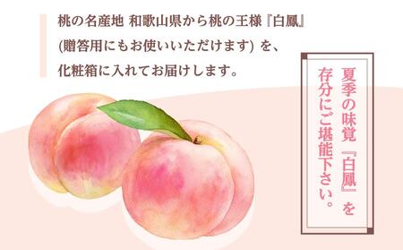 和歌山県産 白鳳 5～9玉入り 秀品 先行予約【2024年6月下旬以降発送