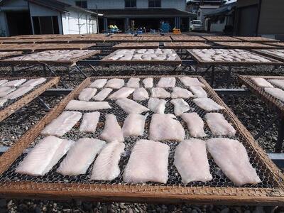  勝浦産　天日干し干物　さめのたれ塩（500g×2）