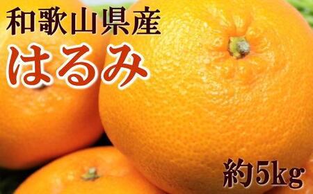 大玉】和歌山県産はるみ約5kg(3L～5Lサイズおまかせ・ご家庭用) ☆2024