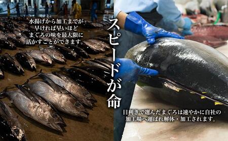 【訳あり】丼にぴったり！那智勝浦町水揚げびんちょうマグロのぶつ切り（2パック）【不揃い】（計600g）