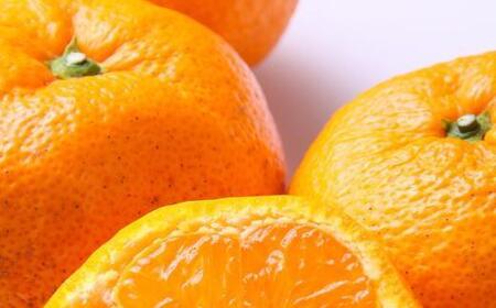 ［訳あり］和歌山下津みかん約5kgご家庭用向け(サイズ混合) ★2026年11月中旬頃より順次発送［TM77］