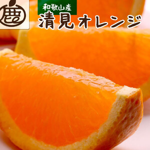 ［先行予約］厳選 清見オレンジ5kg+250g（傷み補償分）［光センサー食頃出荷］［樹上完熟きよみオレンジ・清見タンゴール・清美］［IKE148］