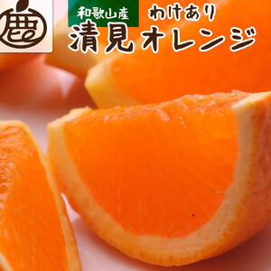 ［先行予約］家庭用 清見オレンジ5kg+250g（傷み補償分）［光センサー食頃出荷］［樹上完熟きよみオレンジ・清見タンゴール・清美］［わけあり・訳あり］［IKE143］