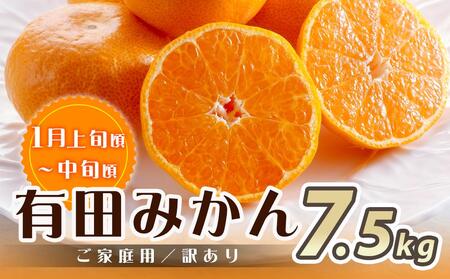 ［魚鶴商店厳選］和歌山人気の柑橘ご家庭用・訳あり定期便（みかん・不知火・清見オレンジ）［定期便全3回］［UT117］