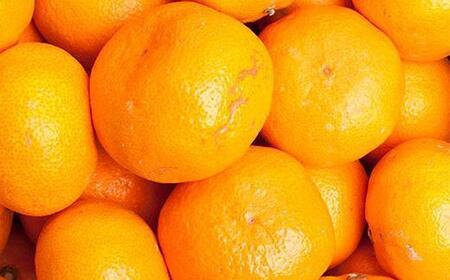 家庭用 大きな有田みかん5kg+250g（傷み補償分）［2025年11月中旬から2026年1月下旬頃順次発送予定］［IKE244］