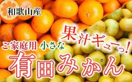 家庭用 小玉な有田みかん 5kg+150g（傷み補償分）訳あり＜11月より発送＞