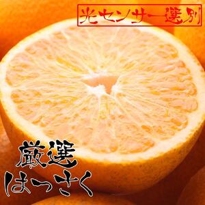 ［先行予約］厳選 はっさく5kg+250g（傷み補償分）［八朔みかん］［光センサー選別］［IKE26］