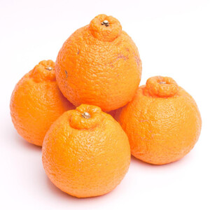 ［先行予約］厳選 不知火2.5kg+250g（傷み補償分）［デコポンと同品種・人気の春みかん］［IKE123］