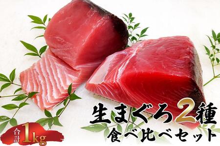 【12月末まで限定寄付額】【年内発送可】生まぐろ2種食べ比べセット 【一部離島配送不可】