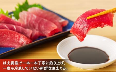 【12月末まで限定寄付額】【年内発送可】生まぐろ2種食べ比べセット 【一部離島配送不可】