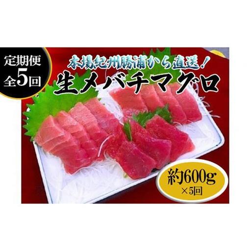 【定期便全5回】生まぐろ 約600g まぐろ