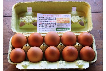 2613 0042 国産飼料にこだわった鶏が産む安全安心のレモン色たまご 和歌山県那智勝浦町 ふるさと納税サイト ふるなび