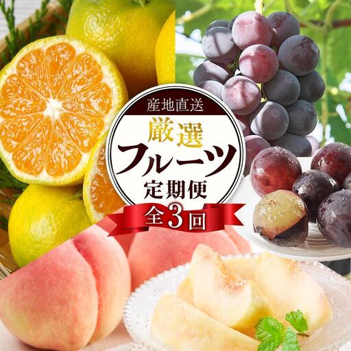 【定期便全3回】産直・厳選フルーツ定期便【TM190】