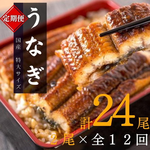 【12ヶ月定期便】大型サイズ ふっくら柔らか 国産うなぎ蒲焼き 2尾×12ヶ月連続でお届け 計24尾 約4080g ／ うなぎ ウナギ 鰻 国産 蒲焼 蒲焼き たれ 人気 定期便 ふるさと納税 12か月 12ヶ月 【tkb311】
