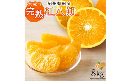 【先行予約】紀州有田産木成り完熟紅八朔８kg ※2026年2月末頃〜2026年3月中旬頃に順次発送予定（お届け日指定不可）/ みかん 不知火 和歌山 フルーツ 有田【uot795】