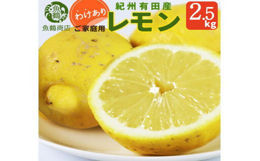 【ご家庭用訳あり】紀州有田産レモン　2.5kg【予約】※2026年3月上旬頃〜2026年3月中旬頃に順次発送予定(お届け日指定不可) レモン れもん 果物 柑橘【uot777】