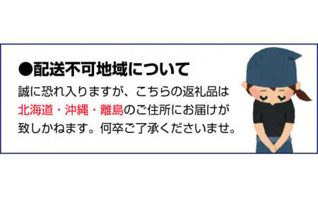 【12月分】 〈年内発送〉 ＼光センサー選別／農家直送 【家庭用】こだわりの有田みかん　約5kg＋150g(傷み補償分) ミカン 有田みかん 温州みかん 柑橘 有田 和歌山【nuk160-2C】