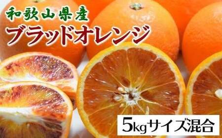 【希少・高級柑橘】国産濃厚ブラッドオレンジ「タロッコ種」約5kg ※2026年4月上旬～2026年4月下旬頃に順次発送【tec968】