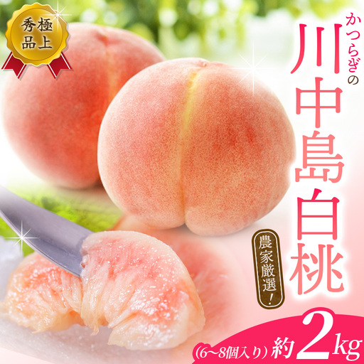 【予約受付】こだわり農家厳選 川中島白桃 和歌山産の桃  約2kg（6個~9個） 【2026年7月末頃～2026年8月末頃に順次発送予定】（お届け日指定不可）/ 桃 もも 川中島 白桃 フルーツ 果物 くだもの 【kgr011A】