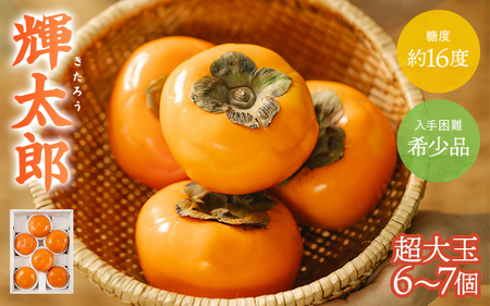 希少な柿【輝太郎】大玉6個～7個 コクのある甘さ！こだわり農家厳選 【2026年9月末～10月末頃に順次発送予定】/ 柿 かき 果物 フルーツ 輝太郎 デザート おやつ 和菓子 菓子 お菓子 和歌山産 和歌山県産【kgr018】