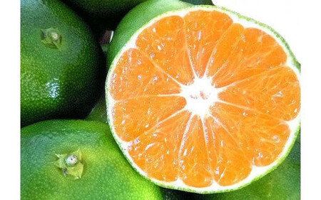 ＼光センサー選別／ 【先行予約】＼有機質肥料100%／ こだわりの青切りみかん 約2kg サイズ混合 【2026年9月～10月に順次発送予定】【nuk169B】