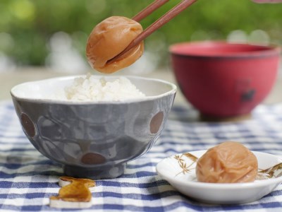 最高級紀州南高梅・大粒桃風味梅干し1.4kg【ご家庭用】【inm600B】