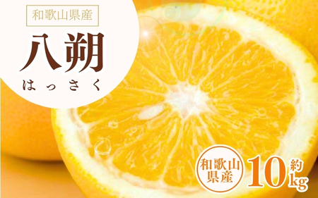八朔(はっさく)約10kg サイズおまかせ　紀伊国屋文左衛門本舗　※2026年1月下旬～2026年4月上旬頃に発送予定【ntbt411B】