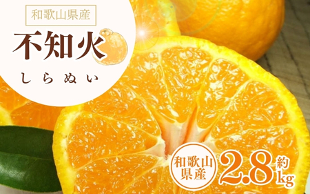 デコ不知火（デコポン） 約2.8kg/サイズおまかせ　※2026年2月上旬～2026年4月上旬頃に順次発送予定(お届け日指定不可)　紀伊国屋文左衛門本舗　【ntbt421C】