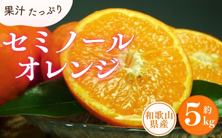 セミノールオレンジ 約5kg/サイズおまかせ　※2026年4月中旬～2026年5月下旬頃に順次発送予定(お届け日指定不可)　紀伊国屋文左衛門本舗　【ntbt481B】