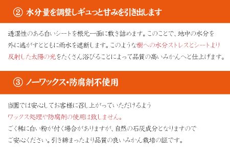 ＼光センサー選別／ 【農家直送】こだわりのデコポン不知火 約5kg 有機質肥料100%　※2025年2月中旬より順次発送予定（お届け日指定不可）【nuk111C】