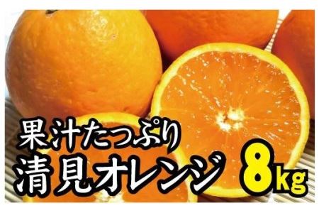 ふるさと納税 みかん レモン 柑橘類 のおすすめ返礼品 高還元率商品など 6ページ目