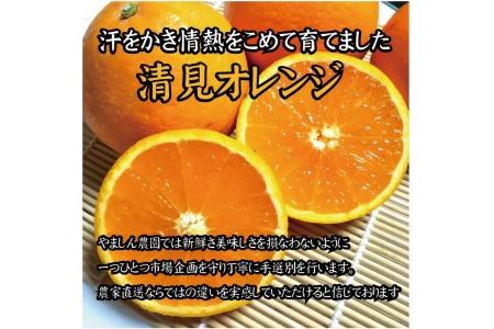 ＼光センサー選別／ 【農家直送】果汁たっぷり！清見オレンジ 約5kg 有機質肥料100%　 サイズ混合　※2026年3月上旬より順次発送予定（お届け日指定不可）【nuk112B】