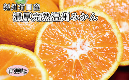 完熟有田みかん　10kg　※2026年11月下旬～2027年1月下旬頃に順次発送予定(お届け日指定不可)【uot705】