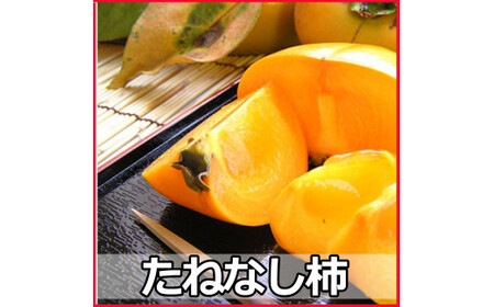 採れたてタネなし柿“Lサイズ”7.5kg＜2026年10月中旬～10月下旬頃発送予定＞【art001A】