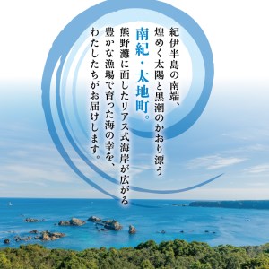 厳選干物 8種セット 創業80年！地元で愛される人気の干物 Gセット ( アジ開き×4枚、カマス開き×4枚、サンマ開き×4枚、タチウオみりん干し100g、マグロみりん干し100g、スルメ、フグみりん干し100g、イラギみりん干し100g) ひもの【sio106A】