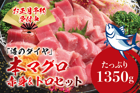 本マグロ（養殖）トロ＆赤身セット 1350g 【12月26日～30日に発送】高級 クロマグロ  中トロ 中とろ まぐろ マグロ 鮪 刺身 赤身 柵 本マグロ 本鮪 年内配送 年内発送 お正月 正月【nks111B-sg】