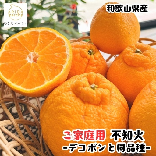 【先行予約】有田育ちの濃厚不知火(ご家庭用)(通称デコポン)　約2.5kg【ard020B】