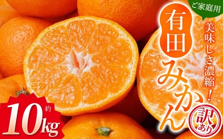 【訳あり】農家直送 有田みかん 約10kg ご家庭用 サイズ混合 ※2025年11月中旬より順次発送予定（お届け日指定不可）※北海道・沖縄・離島への配送不可　訳ありみかん 温州みかん サイズ混合 訳ありみかん 温州みかん 有機質肥料100% ふるさと納税 柑橘 有田 産地直送【nuk138F】
