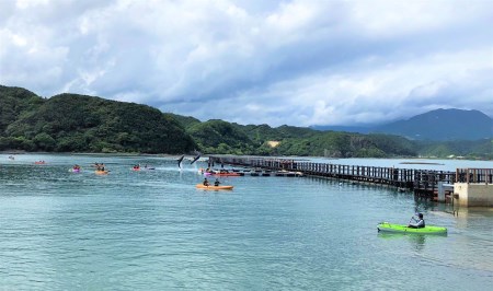 森浦湾カヤック体験（小人） 3歳～小学生　太地フィールドカヤック2時間体験コース / アクティビティ レジャー 体験チケット 観光【tgk105】