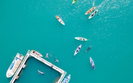 森浦湾カヤック体験（小人） 3歳～小学生　太地フィールドカヤック2時間体験コース / アクティビティ レジャー 体験チケット 観光【tgk105】