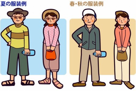 森浦湾SUP体験（大人） 中学生以上対象のSUP（スタンドアップパドルボード）体験 1時間コース  / アクティビティ レジャー 体験チケット 観光【tgk107】