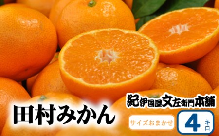 田村みかん 秀品 4kg サイズおまかせ/紀州和歌山有田郡湯浅町田村地区産 ◆2026年11月下旬～2027年1月中旬頃に順次発送予定(お届け日指定不可)　紀伊国屋文左衛門本舗【ntbt307B】