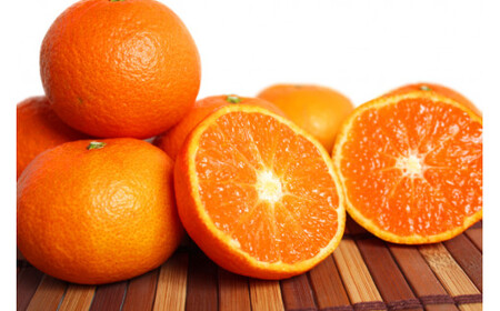 津之輝(つのかがやき)　5kg【予約】※2026年2月上旬頃～2026年2月下旬頃に順次発送予定(お届け日指定不可)【uot761】