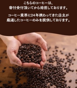 【粗挽き】店主おまかせ 挽き立てコーヒー豆3種類セット(100g×3種類)【hgo003-c】