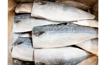 さば サバ 鯖 フィレ 切り身 切身 魚 海鮮 焼き魚 おかず / 【ご家庭用】大容量！塩さばフィレ 1kg【uot763】