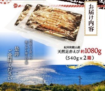 海老 エビ えび クマエビ 足赤 天然 おかず / 紀州和歌山産天然足赤えび540g×2箱（270g×4パック）化粧箱入 ※2024年11月上旬～2025年2月上旬頃順次発送予定（お届け日指定不可）【uot773A】